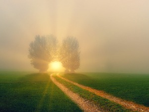 Јутарњу маглу и облаке растераће сунце