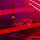 United We Stream – Balkan: Lenhart Tapes  
