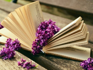 Претпоноћни тренуци - Песме о Стерији - Владислав Мијушковић и Светислав Вуковић 