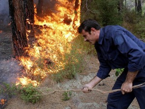 Сирија погубила 24 особе због пожара прошле године