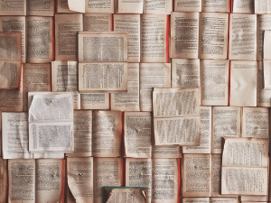 Претпоноћни тренуци - Песма Сербија - Милош Црњански - Владислав Мијушковић 