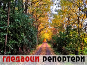 Гледаоци репортери (24. октобар 2021)