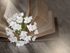 Претпоноћни тренуци - Карл Санберг - Борислав Вучетић