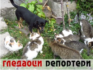 Гледаоци репортери (1. новембар 2021)