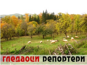 Гледаоци репортери (2. новембар 2021)