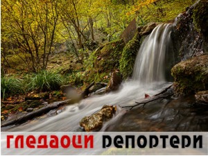 Гледаоци репортери (4. новембар 2021)