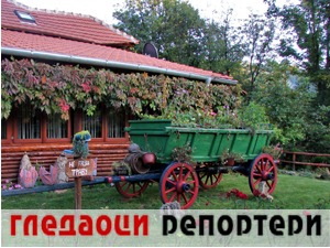 Гледаоци репортери (5. новембар 2021)