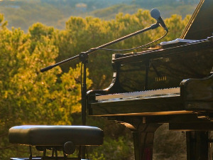 Гласне жице