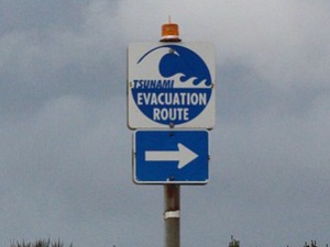 Цунами – смртоносни талас који је за десетак година однео четврт милиона живота