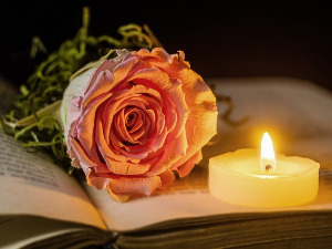 Претпоноћни тренуци - Песме Волта Витмана 2 - Жарко Обрачевић 