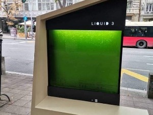 Микроалге као предмет спора и спаса