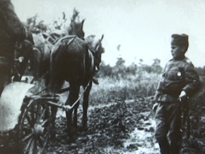 Сећање на Момчила Гаврића, најмлађег подофицира у Првом светском рату