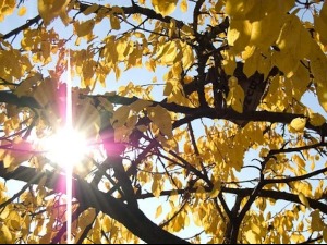 Више сунца, мало облака и топлије