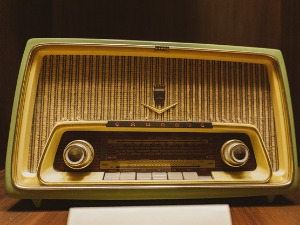  Азбука евергрина - Vasco Rosi 