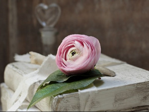 Претпоноћни тренуци - Песма Новице Тадића - Дејан Чавић