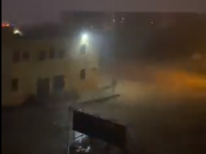 Најезда шкорпиона у Египту после јаке олује, три особе преминуле