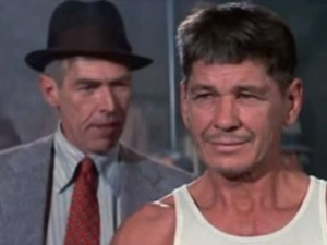 Гвоздена песница