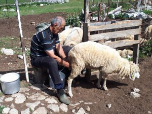 Приступачан програм: Квадратура круга - Кучке планине и катуни, суровост живота (СЗЈ)