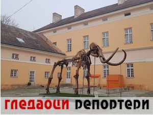 Гледаоци репортери (17. новембар 2021)