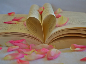 Претпоноћни тренуци - Песме Бранислава Петровића - Бранко Вујовић 