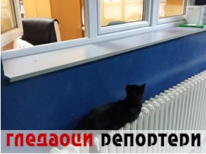 Гледаоци репортери (18. новембар 2021)