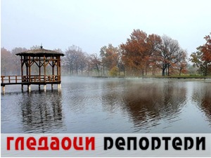 Гледаоци репортери (19. новембар 2021)