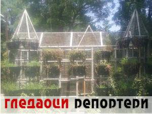 Гледаоци репортери (20. новембар 2021)