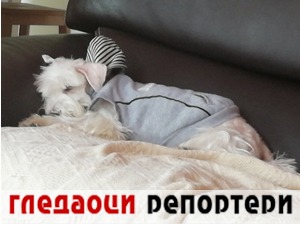 Гледаоци репортери (22. новембар 2021)