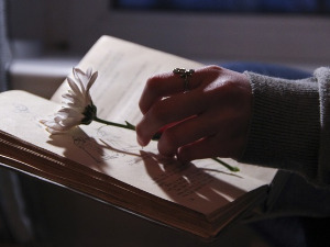 Претпоноћни тренуци - Пустолов у кавезу Растка Петровића - Феђа Стојановић