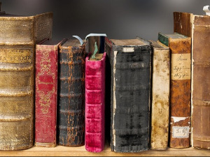 Претпоноћни тренуци - Песме Божидара Милидраговића - Данило Срећковић 