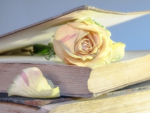 Претпоноћни тренуци - Песме Драга Иванишевића - Иван Јагодић