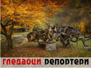 Гледаоци репортери (24. новембар 2021)