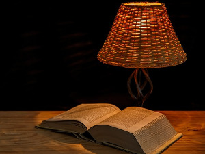 Претпоноћни тренуци - Песме Бранка В. Радићевића - Бранислав Јеринић