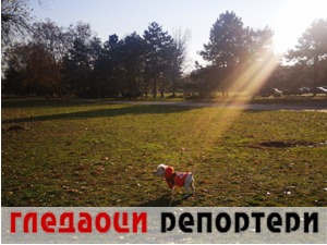 Гледаоци репортери (26. новембар 2021)