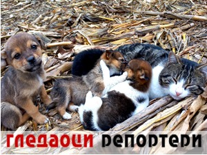 Гледаоци репортери (27. новембар 2021)