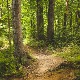Уклоњено 70 експлозивних направа у шуми код Ђаковице