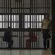Срце злочина: Радојица Никчевић и закон гравитације