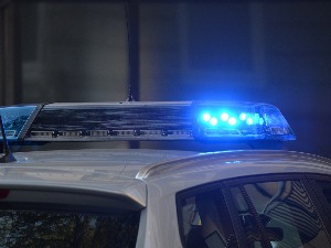 На KиМ ухапшена 31 особа због превара са пољопривредним субвенцијама