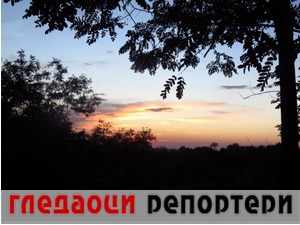 Гледаоци репортери (6. децембар 2021)