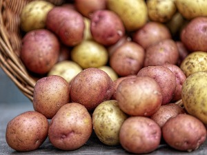 Кромпир и црни лук најскупљи у Београду, пасуљ у Новом Пазару
