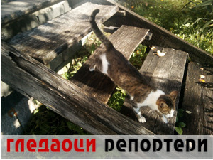 Гледаоци репортери (11 децембар 2021)