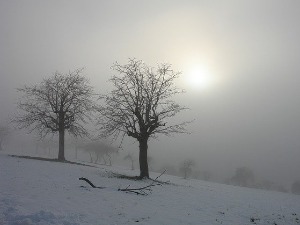 Облачно и хладно,  опрез због јутарње магле и поледице
