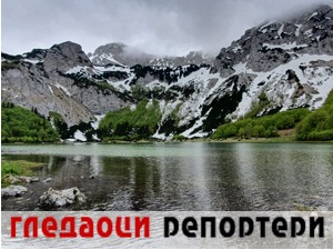 Гледаоци репортери (17. децембар 2021)