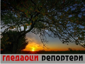 Гледаоци репортери (20. децембар 2021)