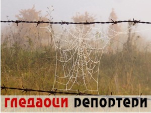 Гледаоци репортери (25. децембар 2021)