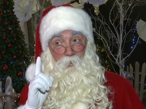 Крадљивци кокосових ораха стигли из Африке, а ту је и Деда Мраз