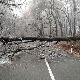 Забрањена вожња по Фрушкој гори, жена повређена када се залеђено стабло срушило на аутомобил