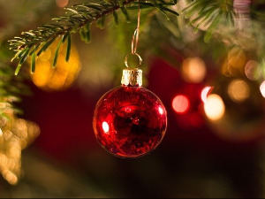 Новогодишња Чаролија, р.