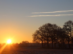 Пролеће првог дана у години – суво и топло, температура до 16 степени