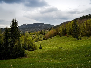 	Компас - Србија